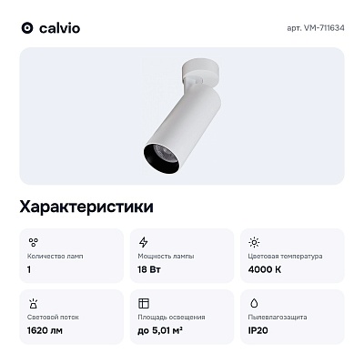 Спот VM-711634