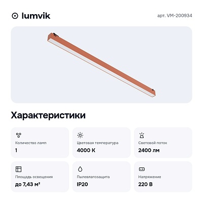 Накладной светильник VM-200934