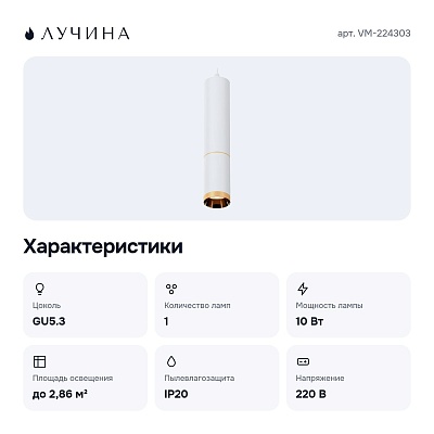 Подвесной светильник VM-224303