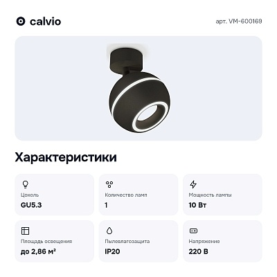 Спот VM-600169