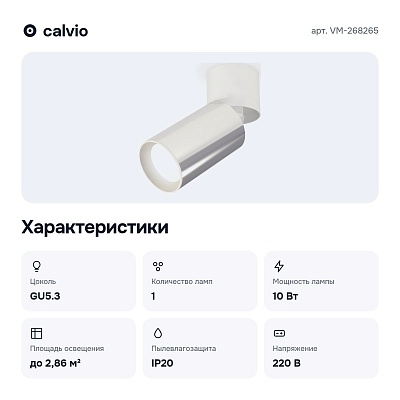 Спот VM-268265