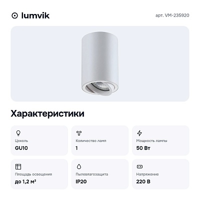 Накладной светильник VM-235920