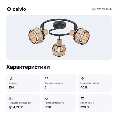 Спот VM-244555