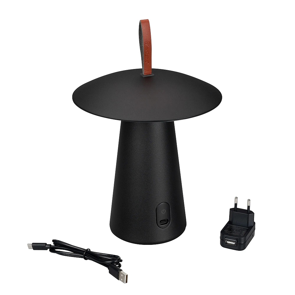 Настольная лампа декоративная VM-308570 — 4