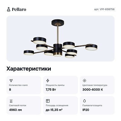 Люстра на штанге VM-698756